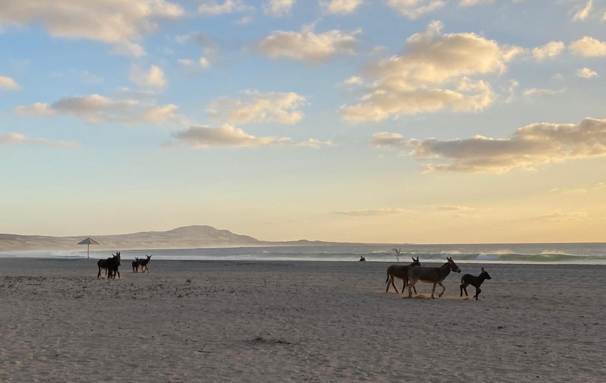 Vila Mare - Praia De Chaves Frontline Rabil ภายนอก รูปภาพ
