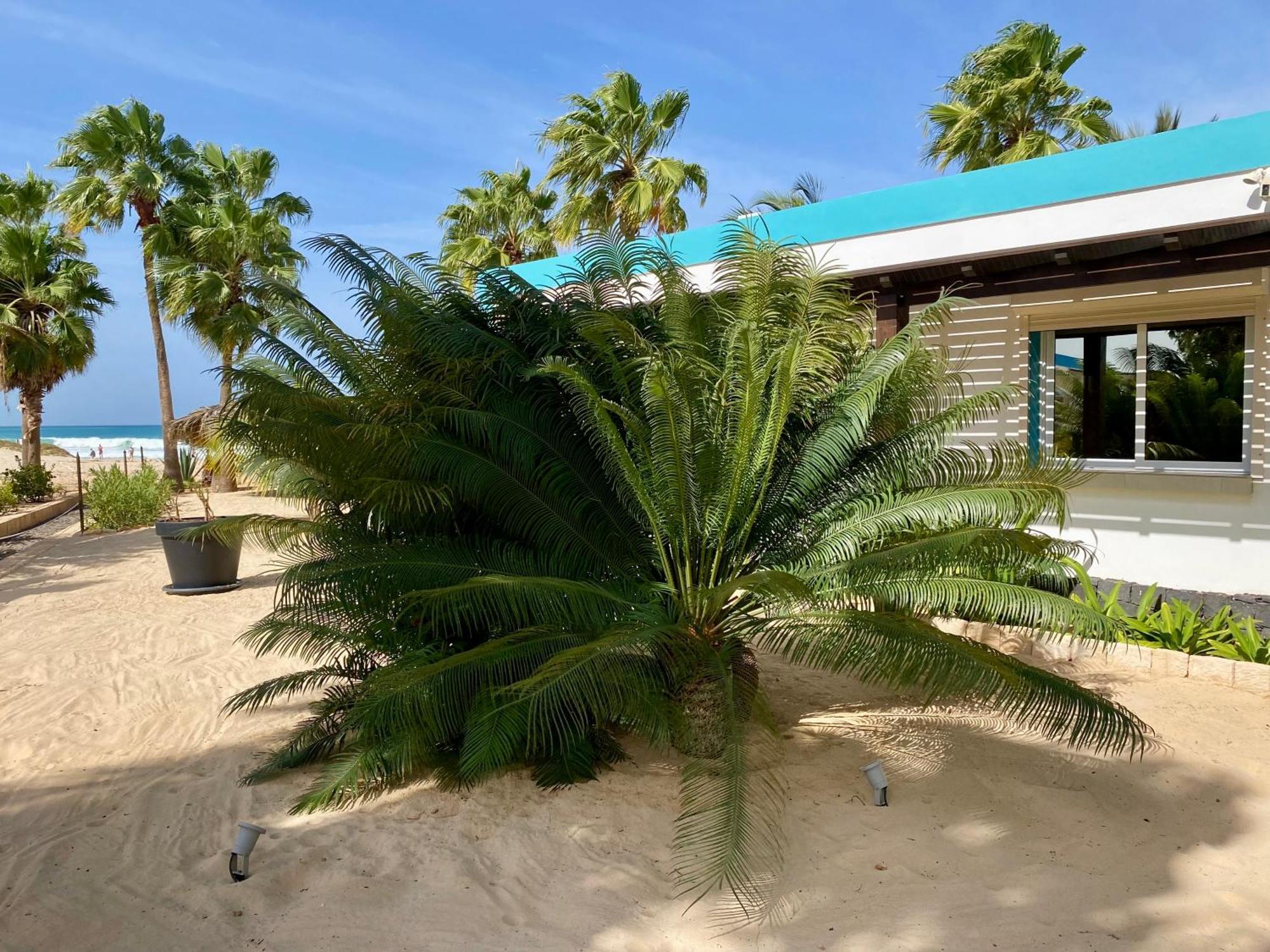 Vila Mare - Praia De Chaves Frontline Rabil ภายนอก รูปภาพ